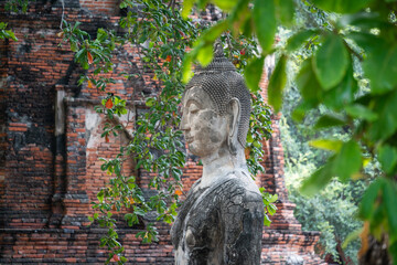 Statue de bouddha dans un temple Thaïlandais