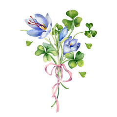 Clover and crocus bunch with ribbon watercolor illustration isolated on white. Painted green shamrock. Irish lucky symbol hand drawn. Design element for St.Patricks day postcard, banner, Easter card - obrazy, fototapety, plakaty