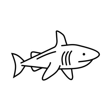 shark cartoon icon logo