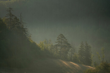 Landschaft im Herbst