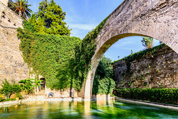 Fototapeta na wymiar Beautiful views of the swan pond of the Huerto del Rey, at the foot of the Royal Palace of Almudaina, or Alcázar Real, Mallorca, Balearic Islands