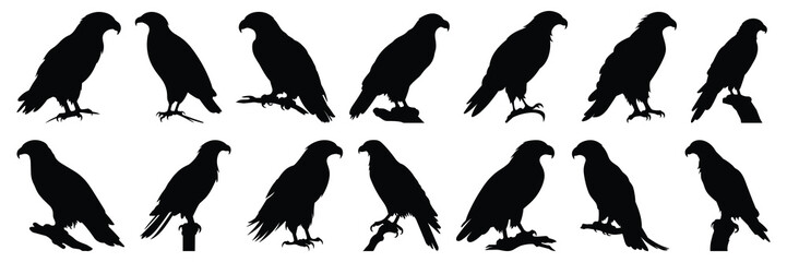 Eagle silhouettes set, large pack of vector silhouette design, isolated white background