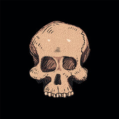 Hand drawn human skull. T-shirt graphic design