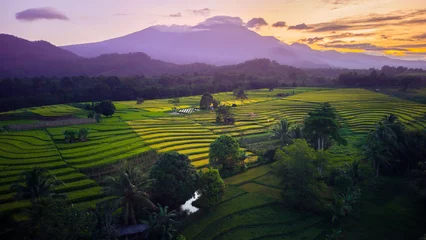 Foto op Plexiglas Beautiful morning view indonesia Panorama Landscape paddy fields with beauty color and sky natural light © RahmadHimawan