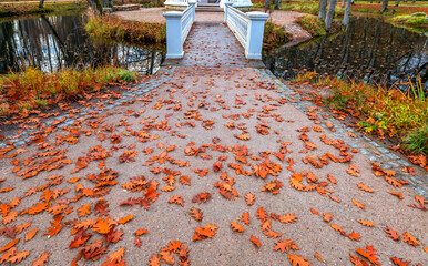 Pedestrian bridge in old public park, golden autumn season with leaves of oak tree as foreground - 693041628