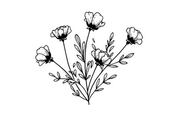 Hand drawn ink sketch of meadow wild flower. Engraved style vector illustration.