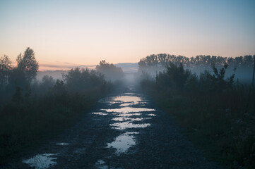 Fototapeta premium Summer misty fog landscape after rain