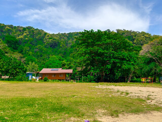 Kho Surin Island Coral reef teaming with reef fish of various colours. the Andaman Sea in  Thailand teaming beautiful lush green mountains and turquoise blue waters white sandy beaches