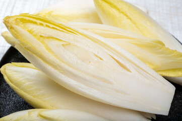 Fresh organic chicory endive salad ready to eat, traditional food in Belgium and the Netherlands