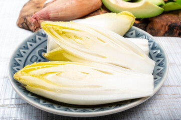 Fresh organic chicory endive salad ready to eat, traditional food in Belgium and the Netherlands