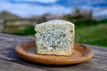 Cabrales artisan blue cheese made by rural dairy farmers in Asturias, Spain from unpasteurized cow’s milk or blended with goat or sheep milk with Picos de Europa mountains on background.