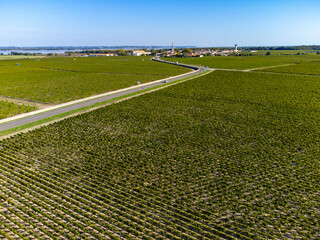 Aerial view on vineyards, Gironde river, wine domain or chateau in Haut-Medoc red wine making...