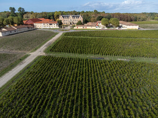 Aerial view on left bank of Gironde Estuary with green vineyards with red Cabernet Sauvignon grape...
