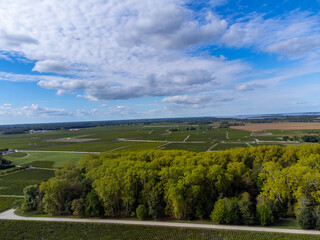 Aerial view on left bank of Gironde Estuary with green vineyards with red Cabernet Sauvignon grape...