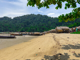 Kho Surin Island Coral reef teaming with reef fish of various colours. the Andaman Sea in  Thailand...