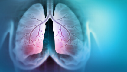 Human Lungs anatomy on scientific background. 3d illustration - obrazy, fototapety, plakaty