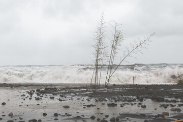 broken embankment of the black sea, storm and rain, flooded and broken sunbeds