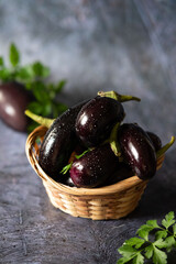 Raw fresh striped eggplants, dark background, rustic style, selective focus, low key