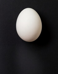 Single, chicken egg on a black background with copy space