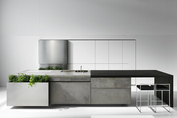 Modern luxury kitchen interior in minimal scandinavian style, 3d rendering