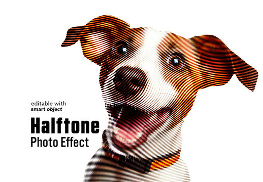 Halftone Photo Effect