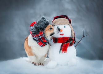 funny Christmas card with dog a corgi in a warm hat with earflaps sits with a snowman in a winter...