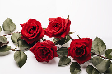 Saint Valentin, Amour floral:  Roses Rouges et Élégance sur Fond Blanc