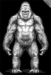 Vintage engraving isolated gorilla set illustration ape ink sketch. Monkey kong background primate silhouette art. Black and white hand drawn vector image © Turaev