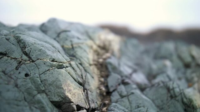 Changement de focale sur les pierres bleues d'une plage irlandaise