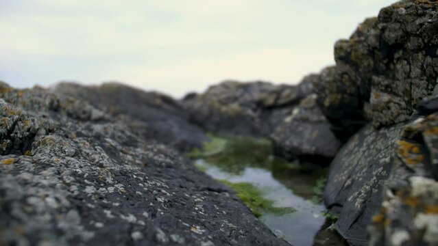 Changement de focale sur flaque de vase sur une plage irlandaise