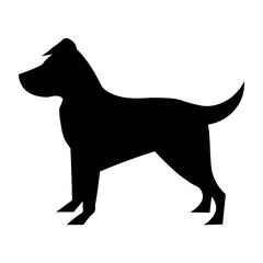 Dog black pictogram on white background