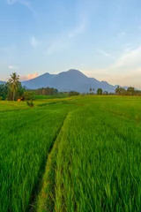Zelfklevend Fotobehang Beautiful morning view indonesia Panorama Landscape paddy fields with beauty color and sky natural light © RahmadHimawan