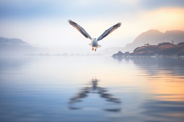 Fototapeta na wymiar albatross flying through mist over a serene bay