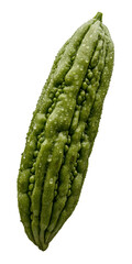 Bittergurke