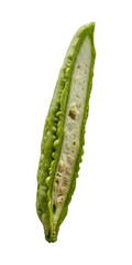 Bittergurke