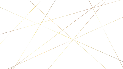 Fotobehang Random geometric line pattern on a transparent background. Random line low poly pattern. abstract seamless line vector. Random chaotic lines abstract geometric patterns of modern design.   © Creative Design