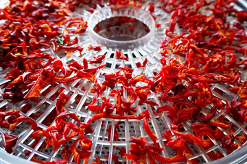the process of drying red bell peppers cut into small pieces on plastic trays in an electric dryer....