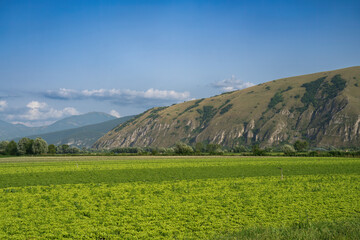 Rural landscape on the Fucino, Abruzzo, Italy
