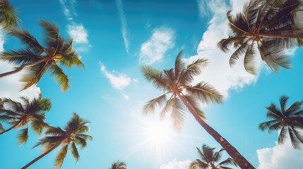 Blue sky and palm trees view from below, vintage style, tropical beach and summer background, travel concept