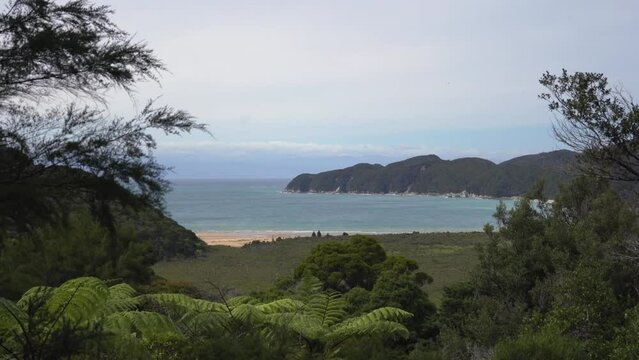 abel tasman, national, park