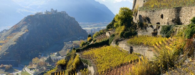 Vignoble et bisse en Valais