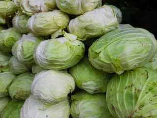 Portrait of piles of cabbage in a vegetable shop