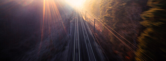 Mystical Dawn: A Fog-Clad Forest Railway Unveils Its Secrets