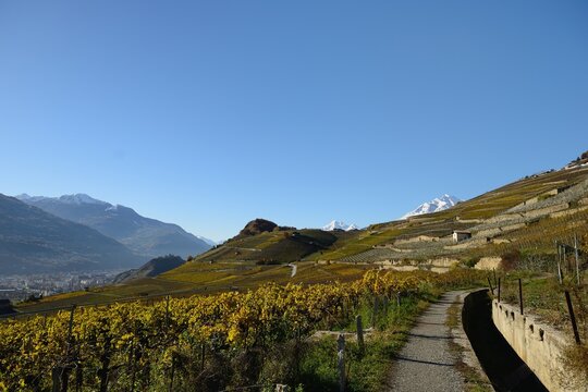 Vignoble  et bisse en Valais
