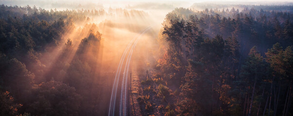 Whispers of Twilight: Forest Railway in the Enigmatic Dawn Fog