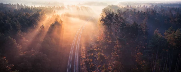 Foto op Plexiglas Whispers of Twilight: Forest Railway in the Enigmatic Dawn Fog © maykal