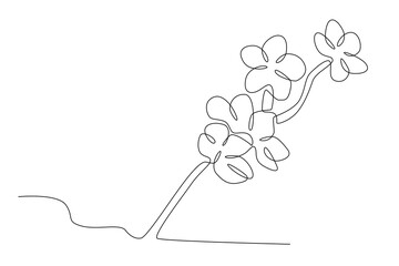 Cherry blossom tree tops. Cherry blossom one-line drawing