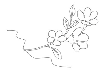 Cherry blossom and leaf. Cherry blossom one-line drawing
