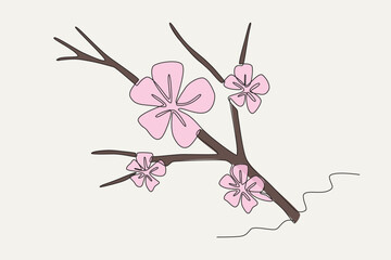 Colored illustration of spring cherry blossoms. Cherry blossom one-line drawing