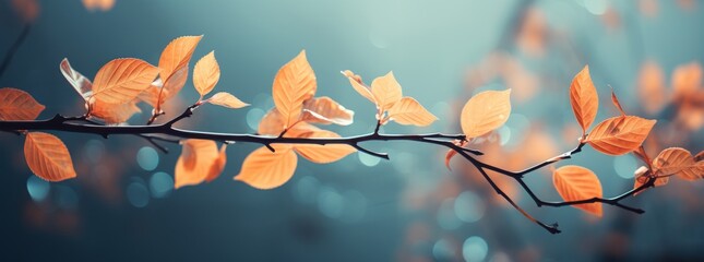  autumn nature background with tree branch